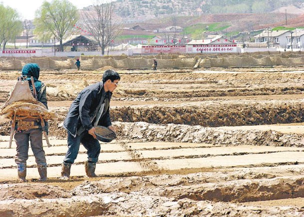 聯合國人權報告指北韓或陷入糧食危機。（Getty Images圖片）