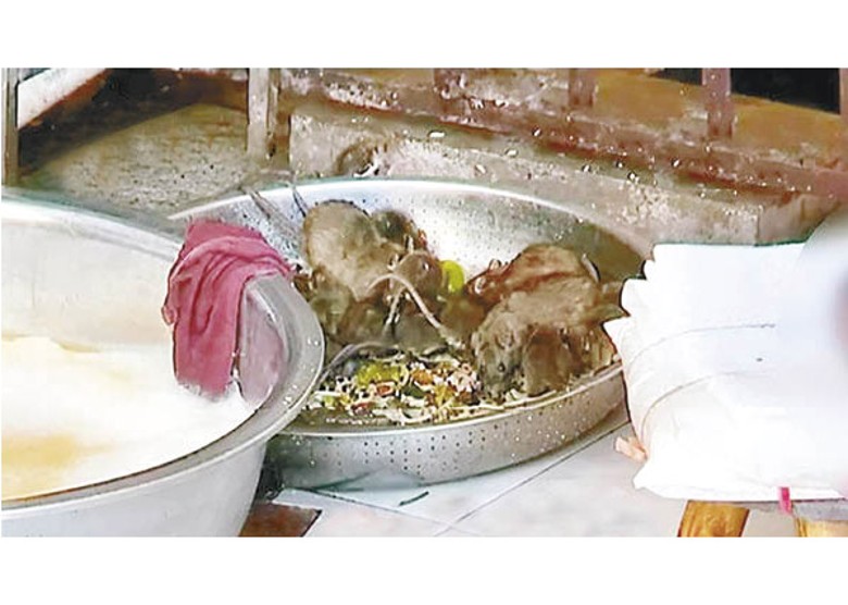裝有食物殘渣的盆內，聚集了一群老鼠。