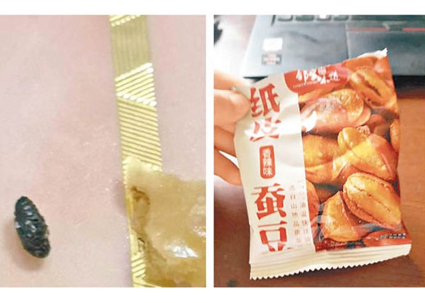 女子從超市所購蠶豆（右圖）中吃出一隻蠶豆蟲（左圖）。