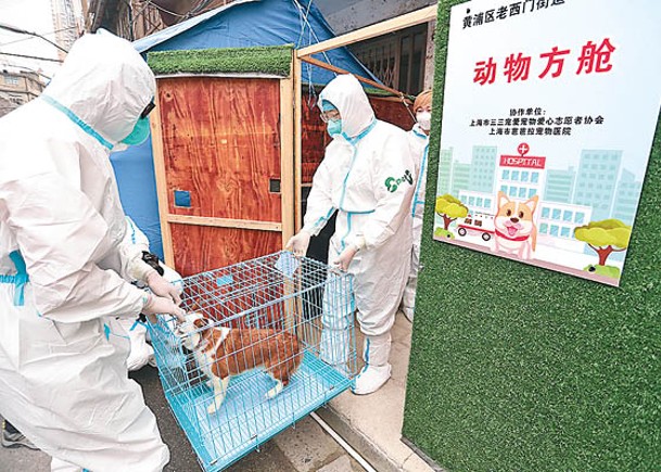 首間動物方艙  上海宣布關閉