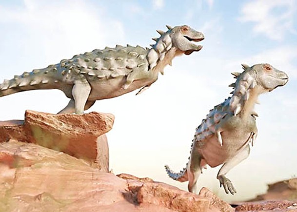 盔甲小恐龍  南半球首揭化石
