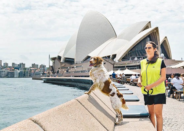 澳洲悉尼女性亦面臨同工不同酬困境。（Getty Images圖片）