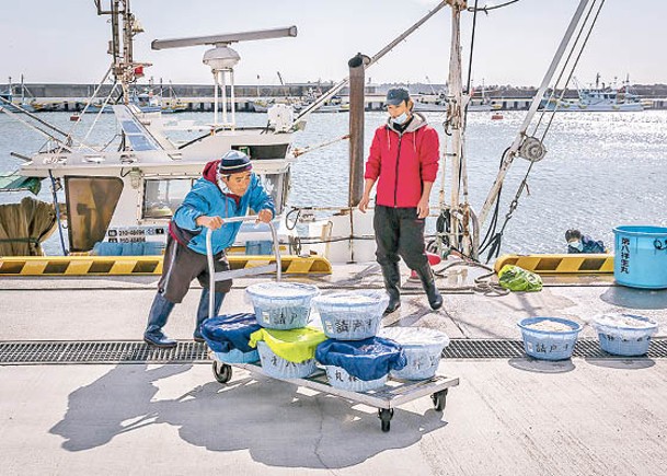 福島縣雙葉郡浪江町出產大批漁獲。（Getty Images圖片）