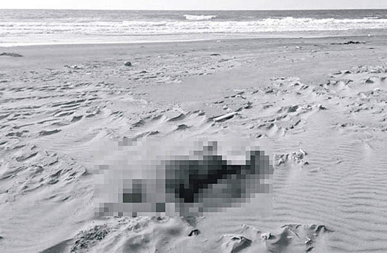 海灘出現浮屍。（中時電子報圖片）