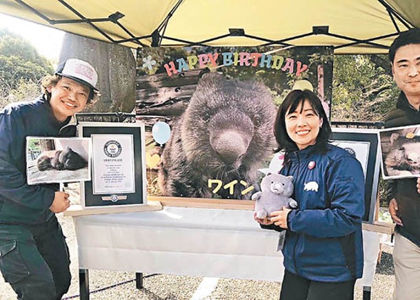 世上最老圈養袋熊  迎35歲紀錄向前推