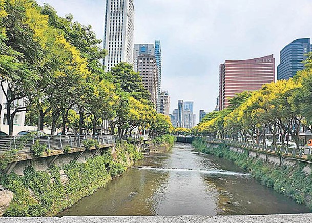 台灣環境部公布「空氣品質標準」草案。圖為台中市貌。