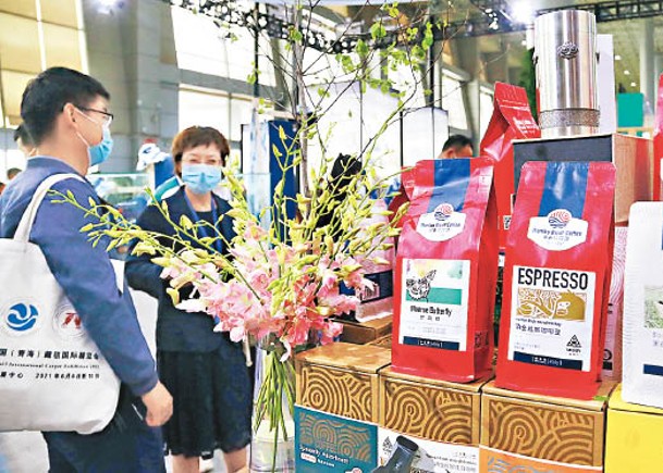 雲南咖啡生豆價格曾跌至貼近成本。