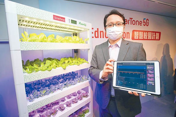 香港聖公會何明華會督中學校長金偉明展示該校「5G智能水耕種植系統」的市區垂直耕作裝置。