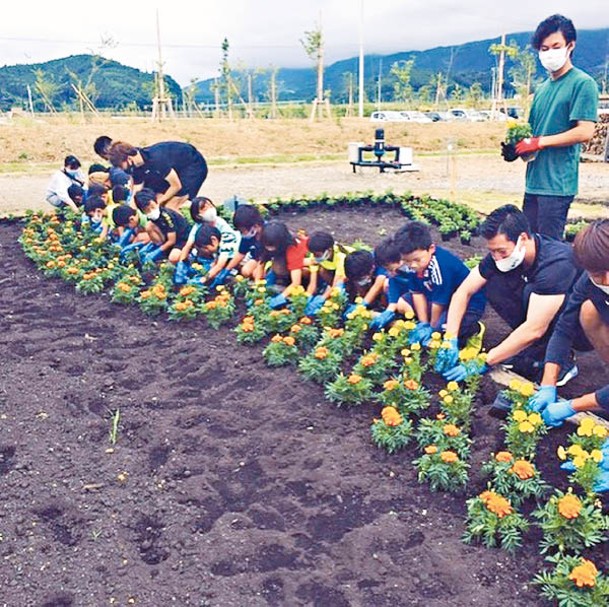 早前當地的小學生齊齊在公園栽種金盞花，體驗種植的樂趣。