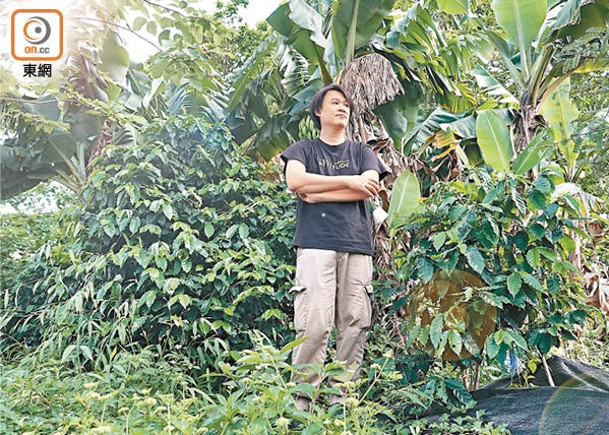既是IT人又是啡農的Mike，兩年前以O-FARM咖啡為基礎，專注研究咖啡處理法，希望發展出香港咖啡的「個性」，推廣From Seed to Cup咖啡文化。