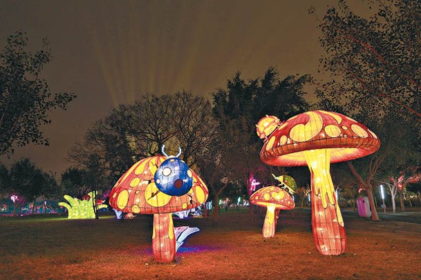 「萌蟲蟲燈區」以獨角仙、瓢蟲、蜻蜓等昆蟲造型燈，結合奇花異草、蘑菇、蝴蝶、蜜蜂等，呈現奇幻世界。