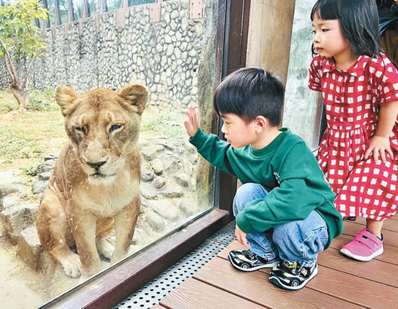 動物園大量採用玻璃圍欄，令參觀時視野不受阻擋。
