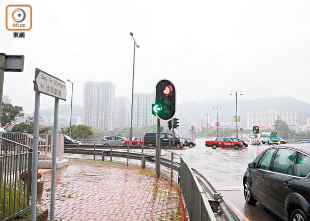 大涌橋路孭仔燈屢釀意外  擬加設安全島分隔行車線