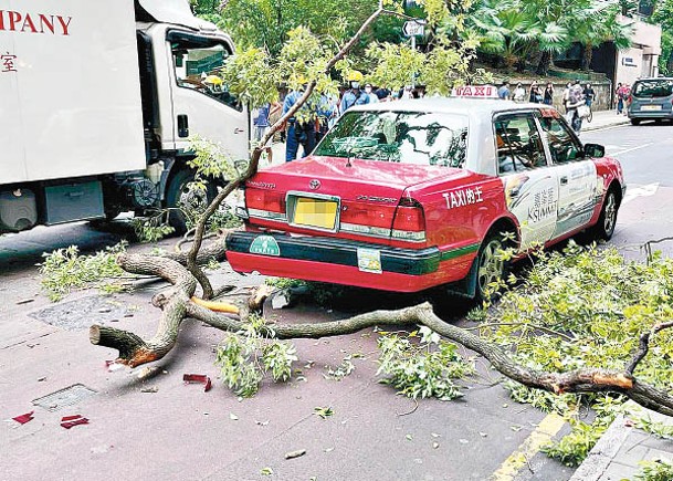 尖沙咀鬧市塌樹  擊中兩車