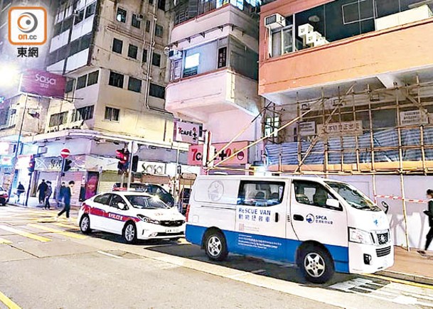 結業寵物店餓死貓  三隻皮包骨