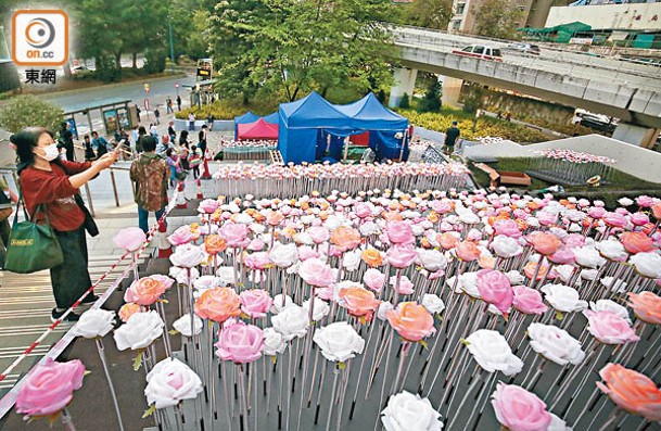 東九龍文化中心的花海裝置也被斥浪費公帑。