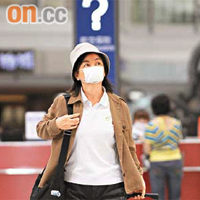 豬流感流行，內地出門旅遊的人士多戴上口罩防感染。（資料圖片）