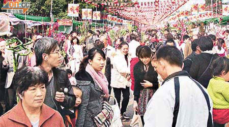 深圳迎春花市人頭湧湧。	（廖怡德攝）