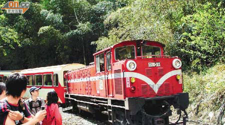 具百年歷史的森林小火車是阿里山的特色。	（本報嘉義傳真）