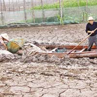 位於湖北的中國第七大淡水湖洪湖乾涸，漁民需推漁船移動。	（中新社圖片）