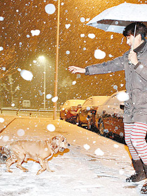 北京女子帶愛犬在雪地上嬉戲。（中新社圖片）