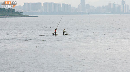 記者昨在紅樹林岸邊仍見到離岸不遠處有人撐竹筏出海捕魚。（本報記者深圳傳真）