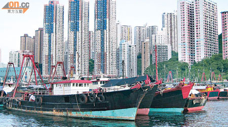 南海休漁期將於明日開始，預計有多達逾千艘本港漁船受影響，圖為大批漁船停泊在香港仔。（朱先儒攝）