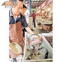 羅湖區街市的魚販稱，其所售桂花魚來自中山，不受廣州黃沙市場停售影響。（本報深圳傳真）