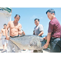 中國漁民日前在南沙渚碧礁海域釣到一條四十公斤大魚。（中新社圖片）