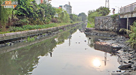 污水廠水管爆裂污水流入附近珠江水域。（黃少君攝）