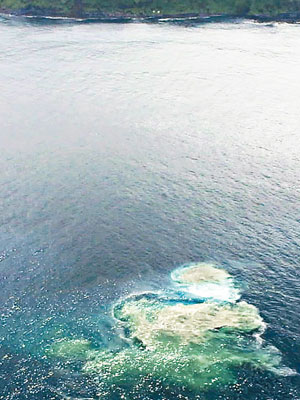 三宅島在二○○○年發生大型火山爆發前，海水也曾變色。（資料圖片）