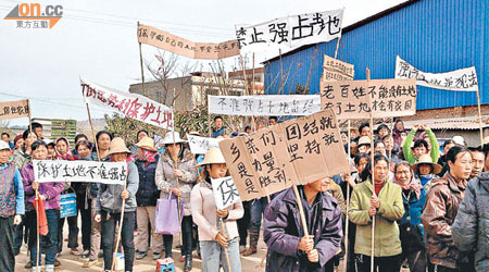 昆明晉寧縣大批村民舉牌抗議徵地。