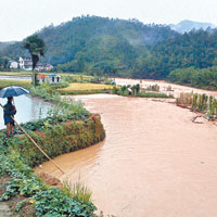 江西贛州大片農田被嚴重淹浸。（中新社圖片）