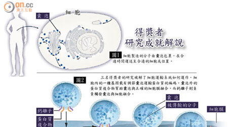 得獎者研究成就解說