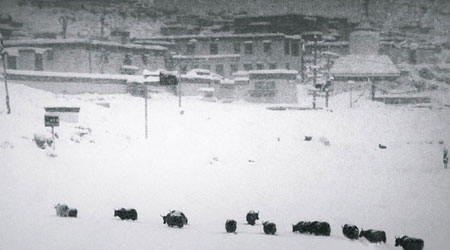 珠峰大本營附近整片山地均被厚厚的積雪覆蓋。