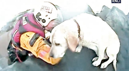 義工將拉布拉多犬抱上救生艇。（互聯網圖片）