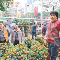 深圳賣盆桔的余女士指，做了廿年今年生意最差。
