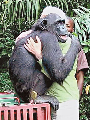 伍達（猩猩）與古多爾擁抱，場面感人。（互聯網圖片）