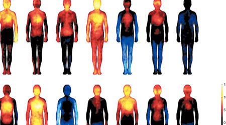 人體情緒地圖顯示體溫會隨情緒變化增減的身體部位。 (互聯網圖片)