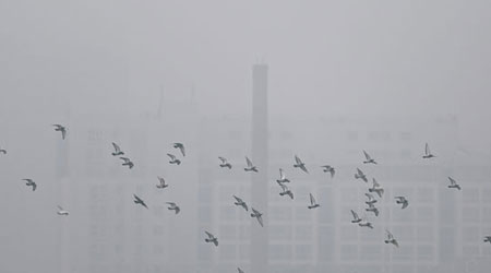 北京近日遭霧霾鎖城。（中新社圖片）