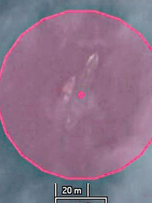 塞伯格埃爾從衞星圖發現，水面下有一個疑似飛機形狀的物體。