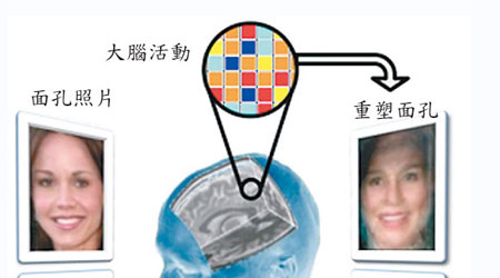 研究員利用fMRI掃描測試者大腦活動，重塑出還原度極高的人物面孔。(互聯網圖片)