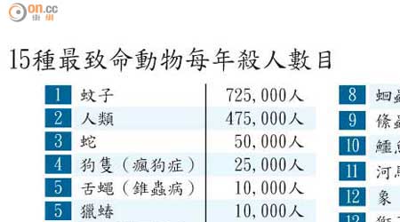 15種最致命動物每年殺人數目