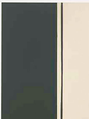 紐曼的直紋畫作《Black Fire I》成交價逾六億五千萬港元。（互聯網圖片）