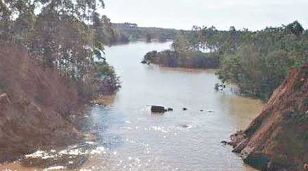 雷州青年運河決堤導致農田淹沒。（互聯網圖片）