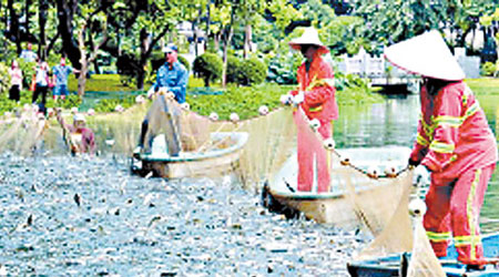 捕魚隊在亞藝公園湖進行大規模撈魚工作。（互聯網圖片）