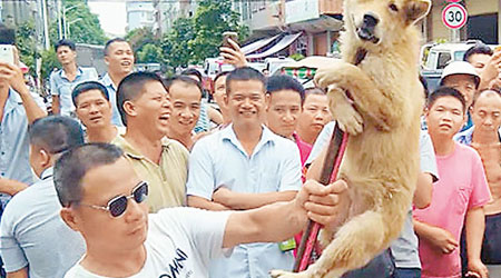 狗販以鉗子夾起狗隻威脅愛狗人士。（互聯網圖片）