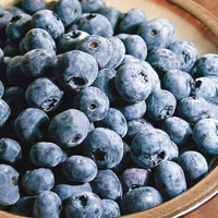 藍莓（互聯網圖片）