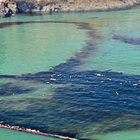 海面上遺留了大片油污。（互聯網圖片）