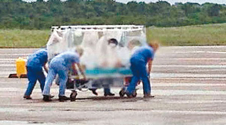 醫護人員將被隔離的普利運送上機。（互聯網圖片）